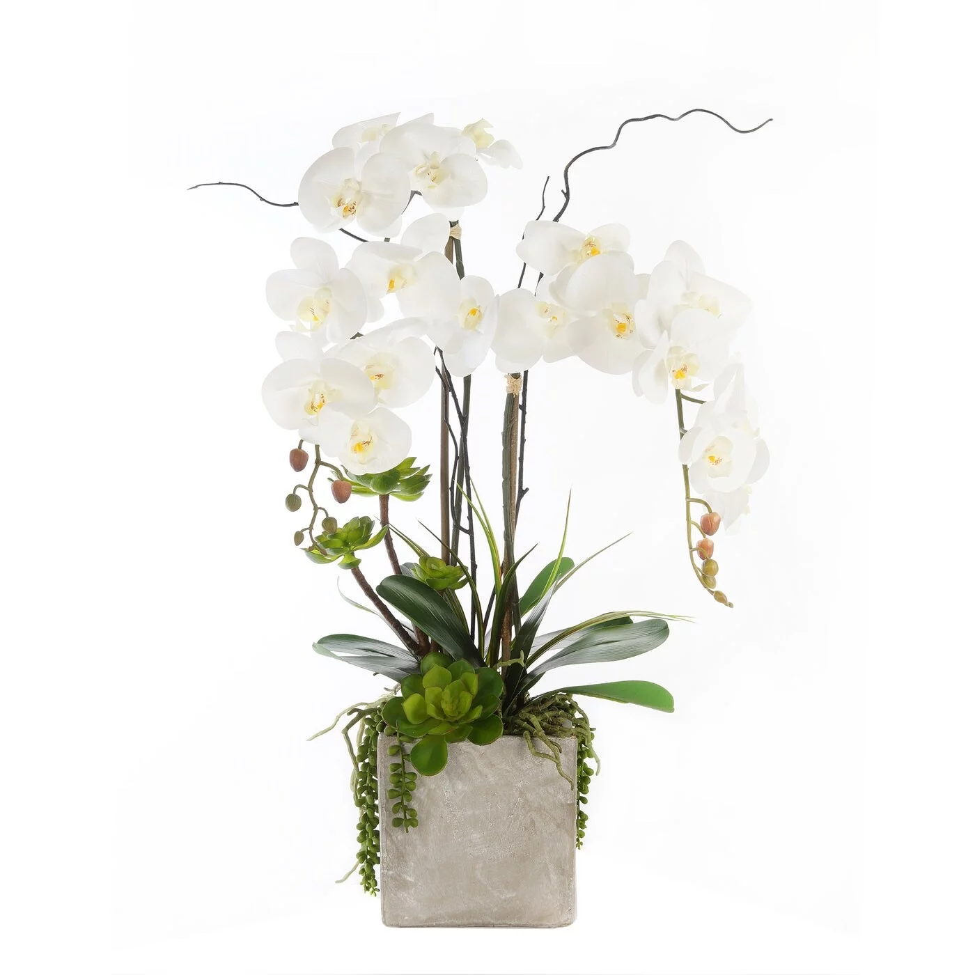 Jenny Silks Real Touch White Orchids & Succulents in Square Cement Pot