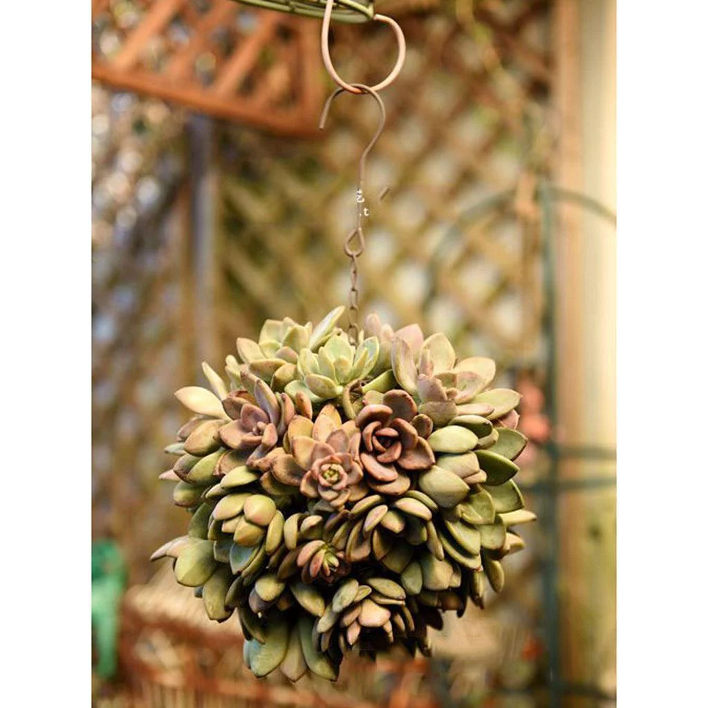 13cm&28cm Retro Iron Ball Shape Succulent Pot Metal Hanging Plant Holder