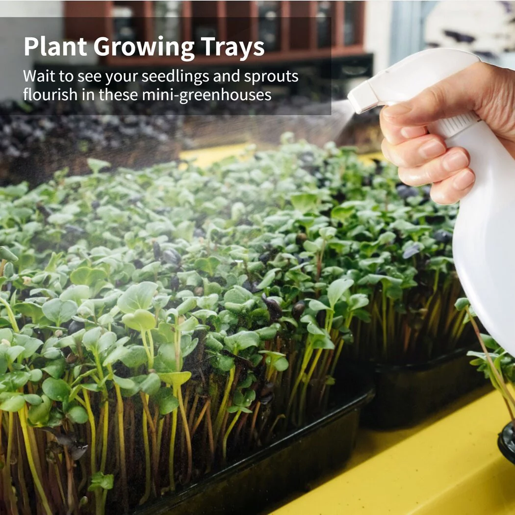 10Pcs Seed Starter Trays, Mesh Bottom Propagation Trays, Microgreens Growing Trays, Perfect Plant Growing Trays for Soil Block, Growing Mat, Hydroponic Growing