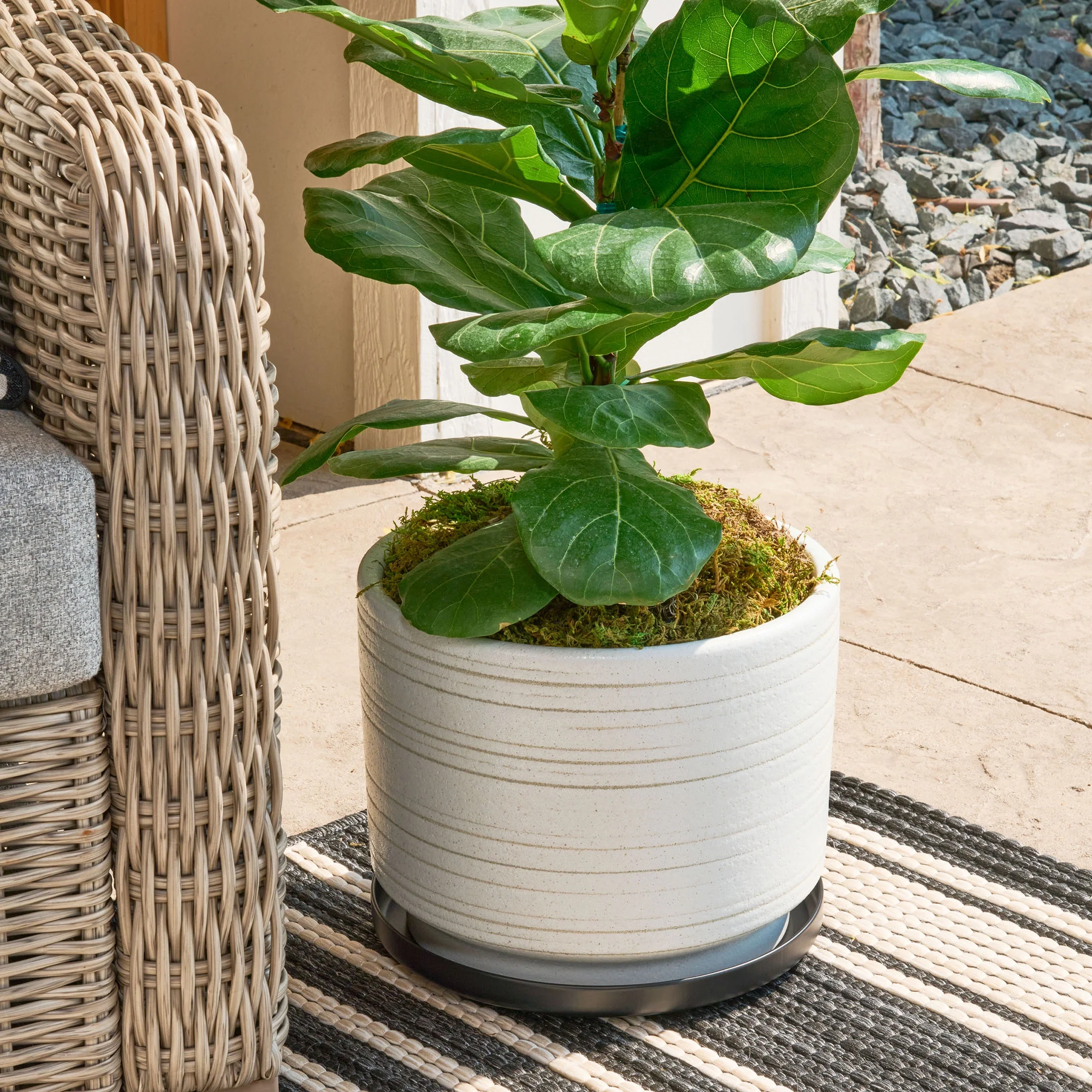 Better Homes & Garden Metal Black Saucer 10in