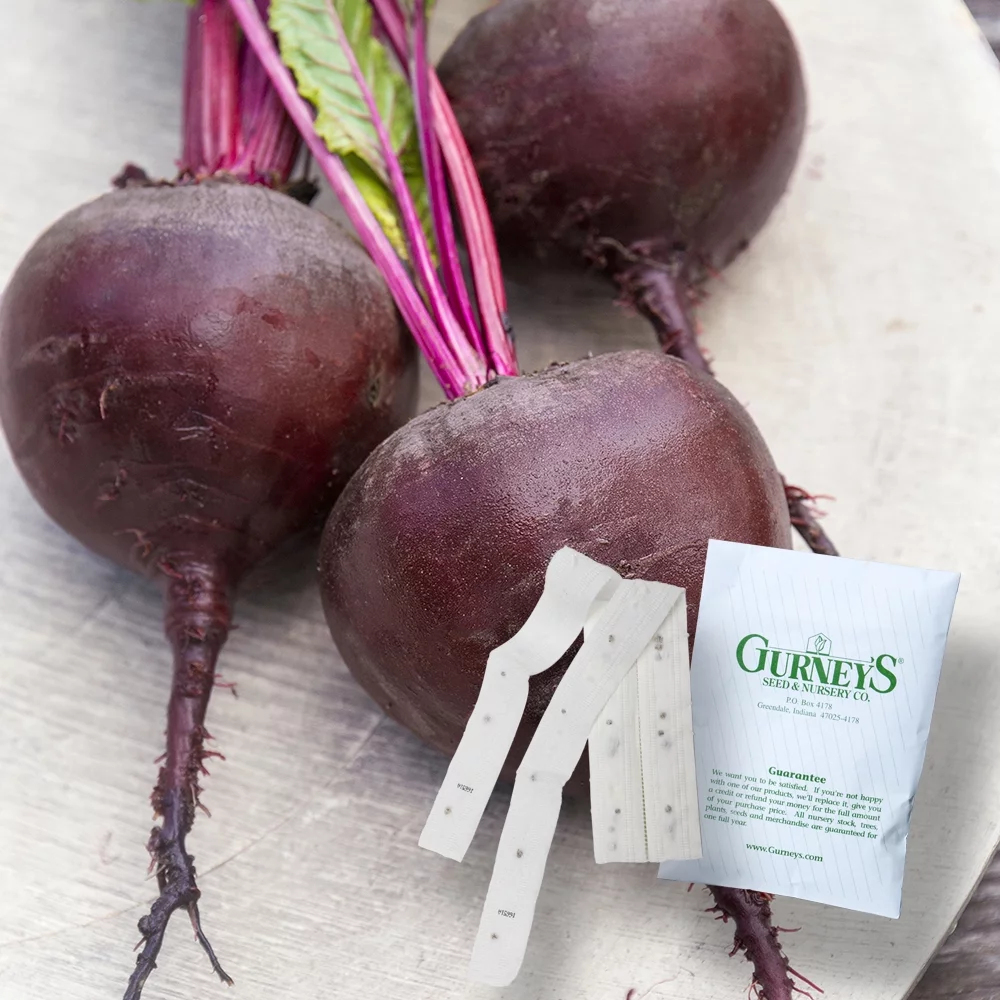 Gurney's Red Titan Hybrid Beet Seed Tapes  - 2 seed tapes measuring 7.5 feet long each