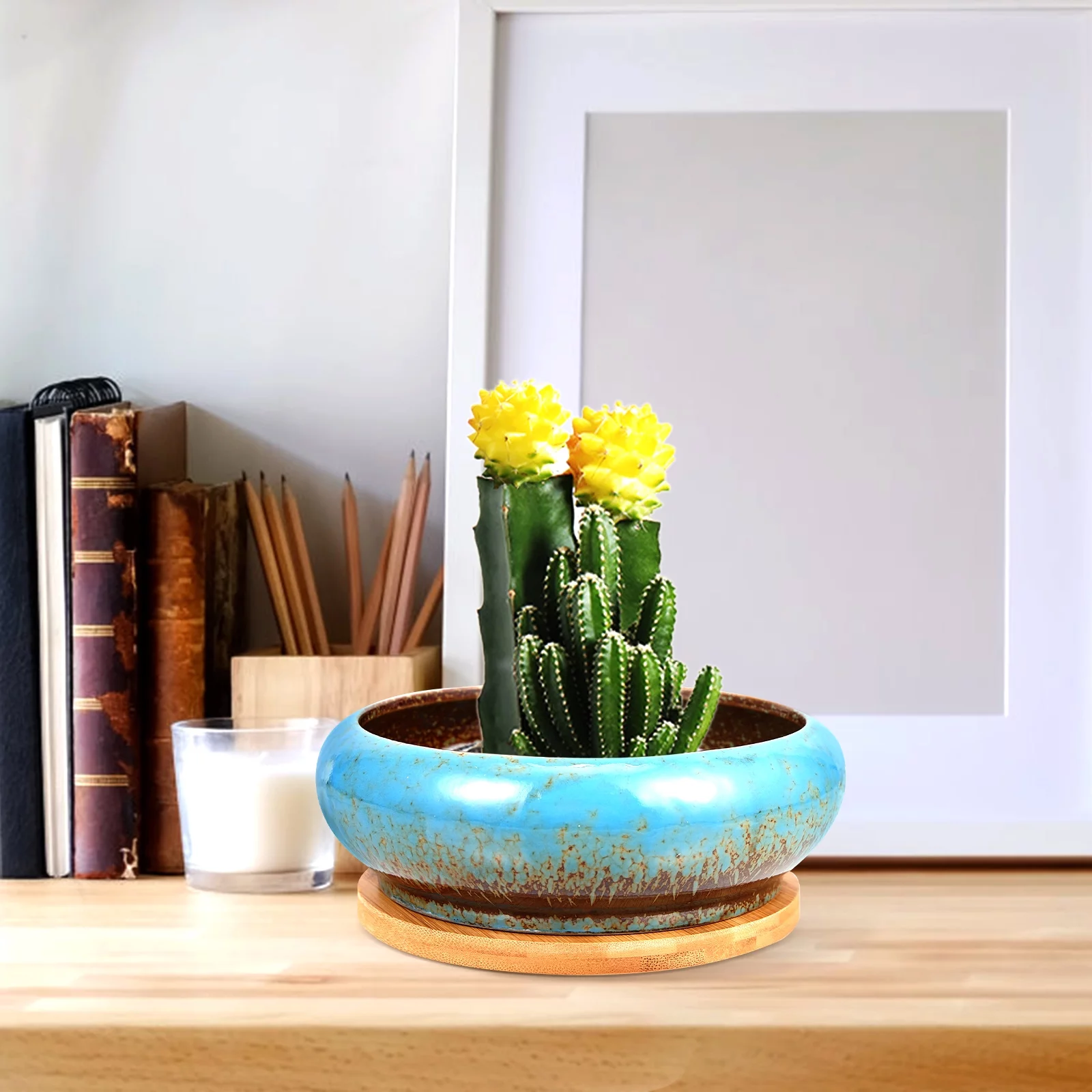 Pots for Plants Indoor Decor Succulent Container Gardening Flower Flowerpot Desktop with Tray Ceramics