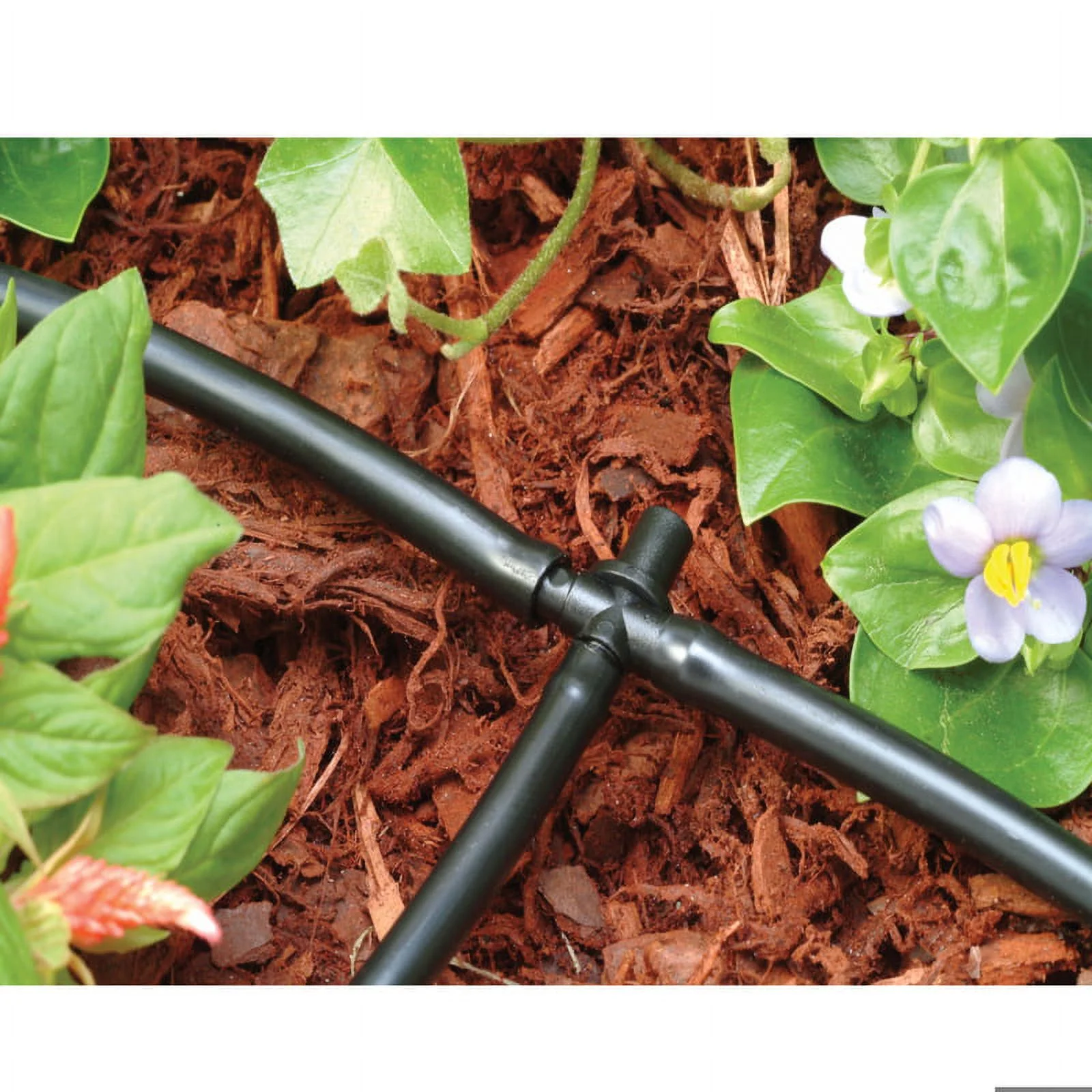 Rain Bird BT25-10PK Drip Irrigation Tee, 1/4 in Connection, Barb, Plastic, Black