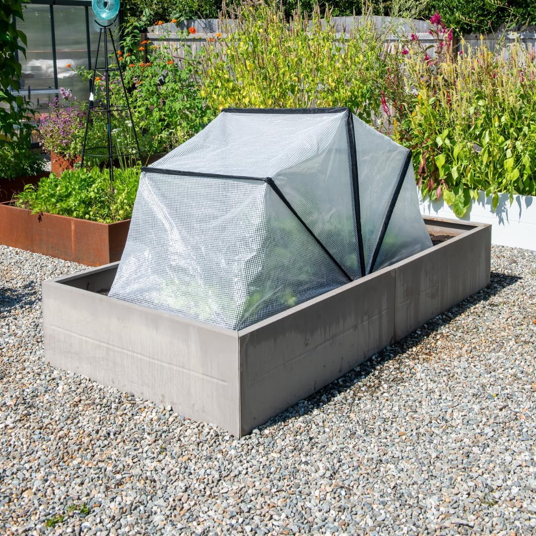 Supply Company Large Pop-Up Crop Protector | Extra Large Instant Greenhouse Cover for Garden Plants | Cool Weather Protection Creates Warm Humid Enviroment