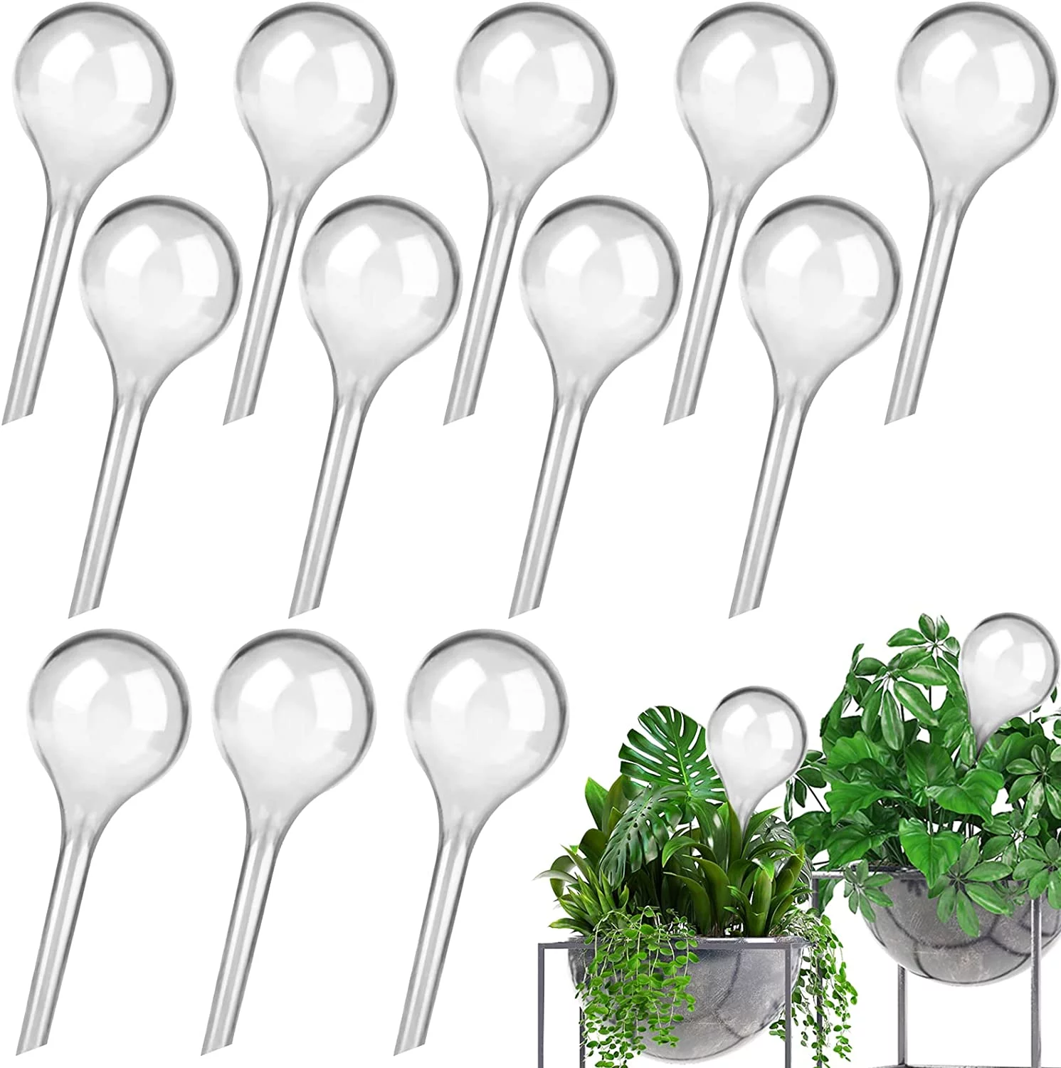 12 Pack Plant Watering Globes Automatic Watering Globes Plant Self Watering Bulb Waterer Automatic Watering System Light Bulb