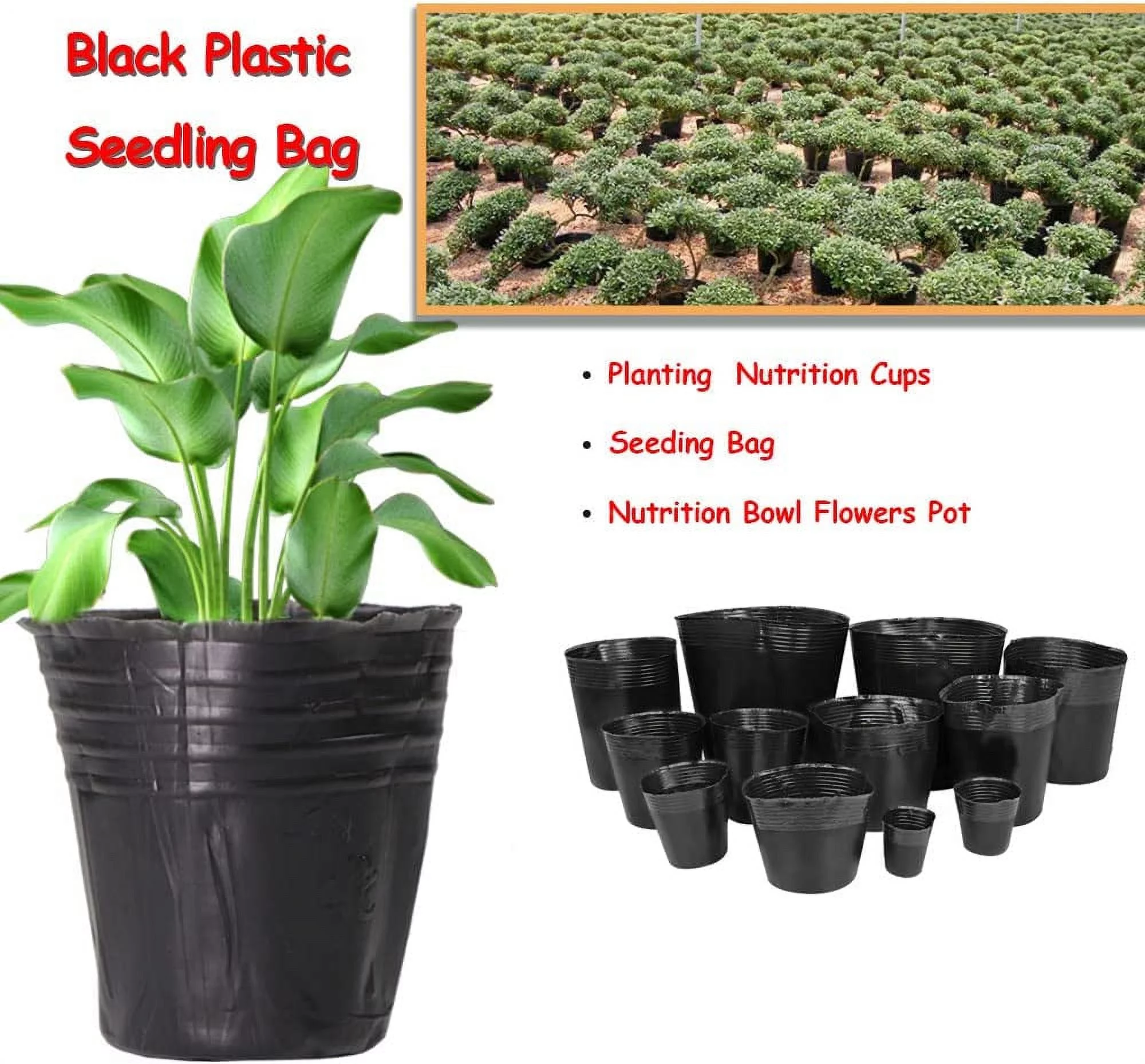 6 Inch Plastic Plants Nursery Pot/Pots Seedlings Flower Plant Container Seed Starting Pots, 60 Pcs
