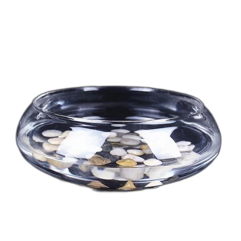 Hydroponic Glass Flower Pot Transparent Bowl Lotus Lotus Copper Coin Grass Pot Cylinder Sleeping Lotus Flower Pot Fish Tank Plant Plant 2 Medium Size (Belly Diameter 20Cm) Intermediate