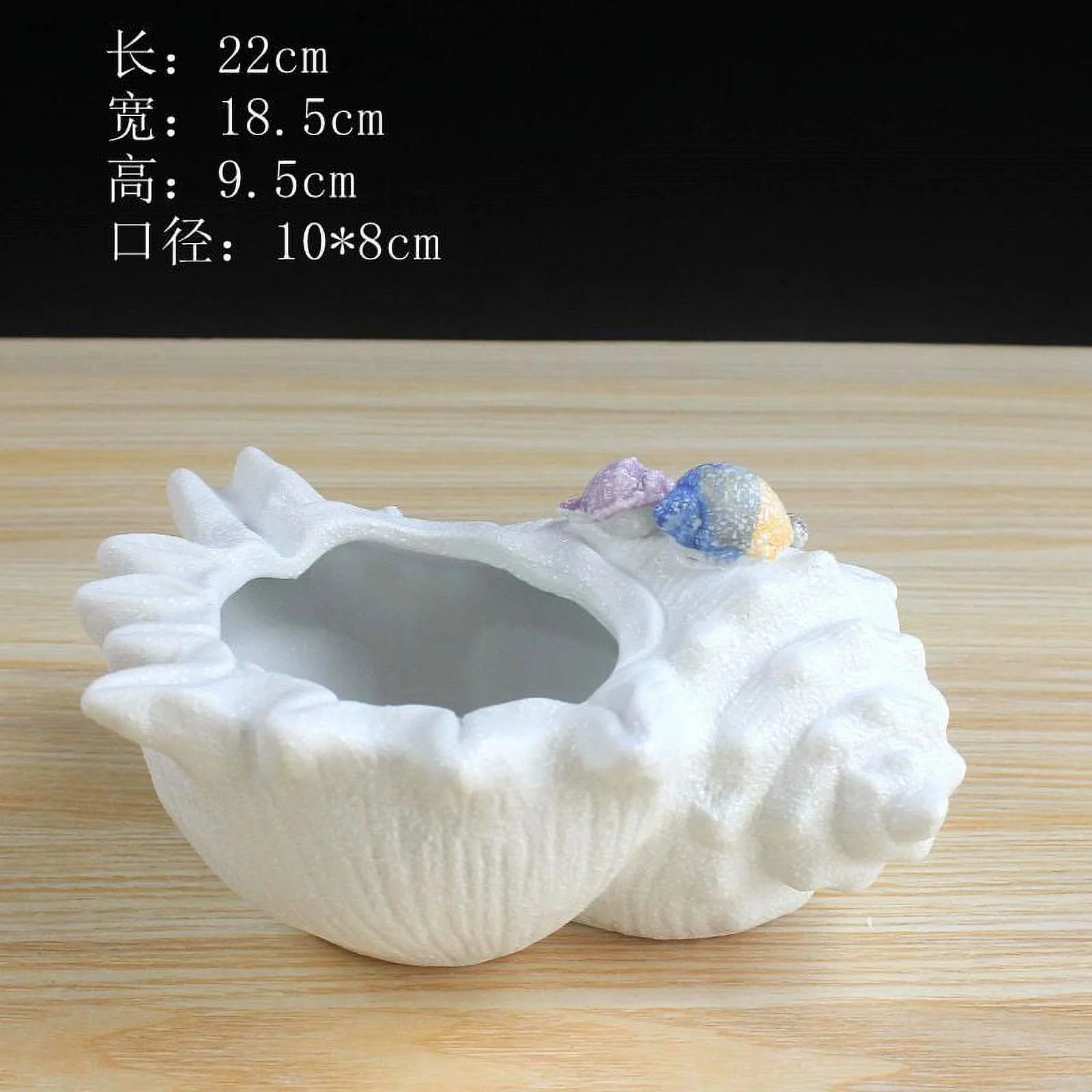 Snowflake Glazed Ceramic Conch-shaped Succulent Planter - Ocean Series Flower Pot
