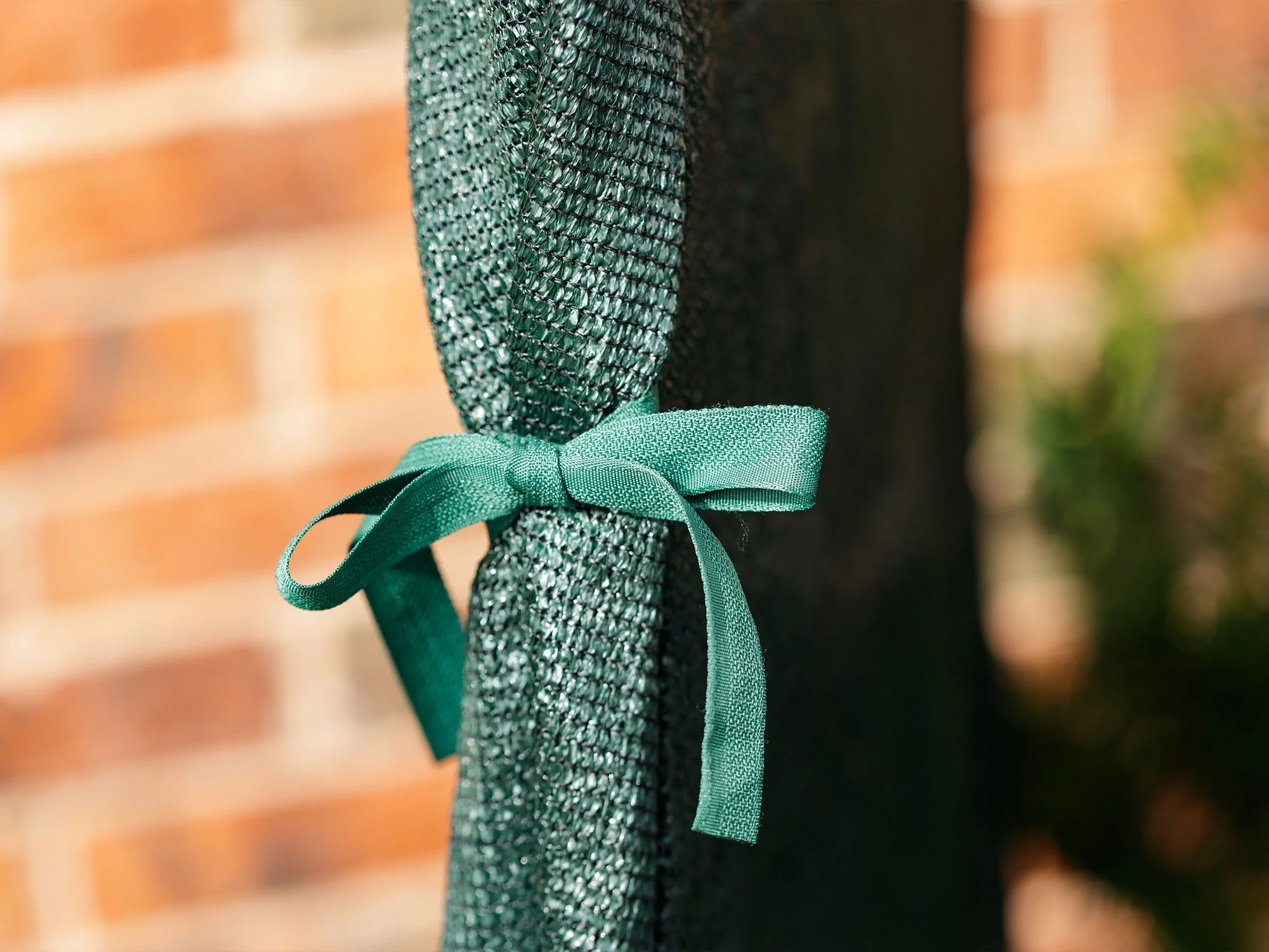 Green Polyethylene Shrub Cover 28 In. X 28 In. X 34 In.