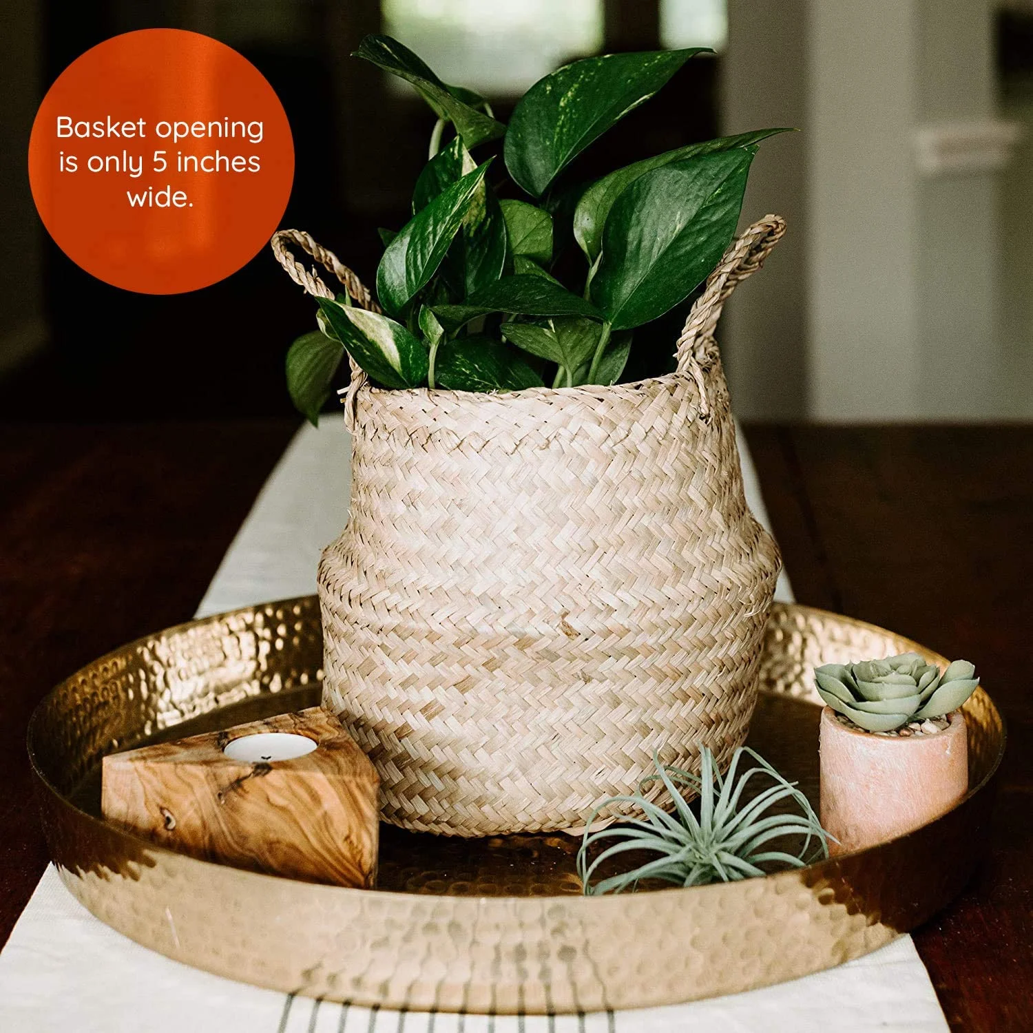 Modern Village Mini Woven Basket for Plants, 5 Inch Natural Seagrass Weave