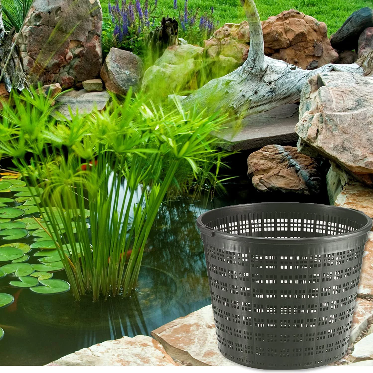 Little Giant 566553 Round Plant Basket, Black