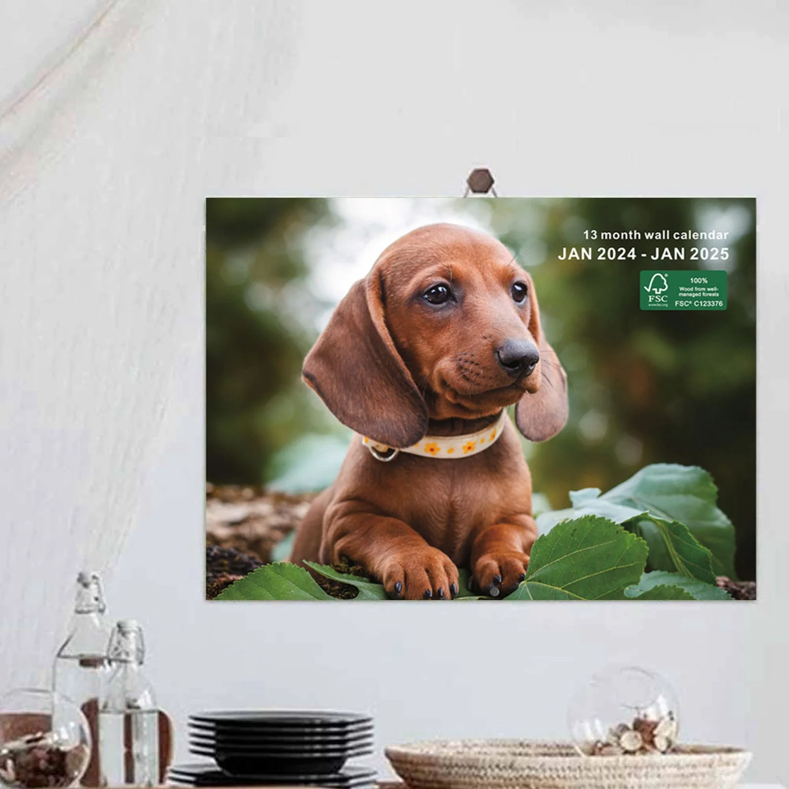 AaSEJEG Graduation Gifts Calendar 2024-2025 Book Monthly 2024 Wall Hanging Planner Cute Animal Style English Calendar forPlanning and Note Taking