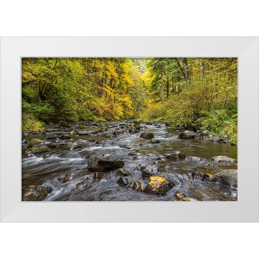 Jaynes Gallery 14x11 White Modern Wood Framed Museum Art Print Titled - USA-Oregon-Silver Falls State Park River rapids and forest in autumn