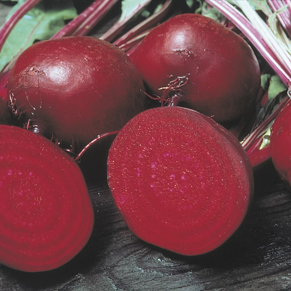 Perfected Detroit Beets - 2 seed tapes measuring 7.5 feet long each