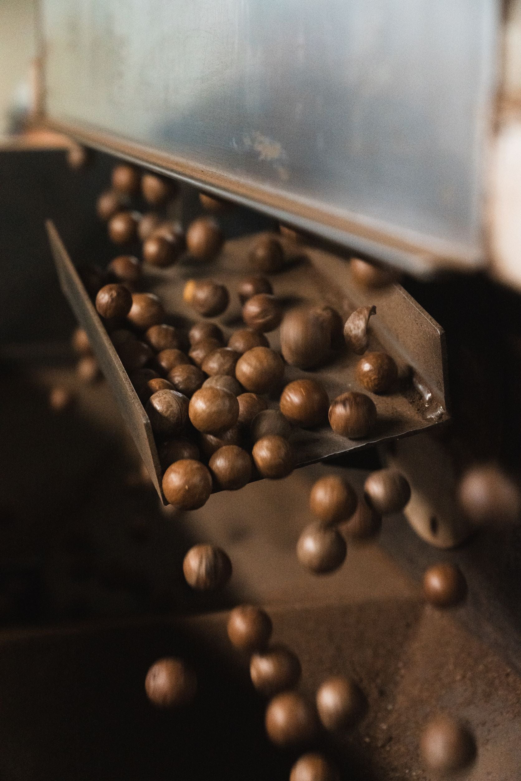 Maui Onion Macadamia Nuts