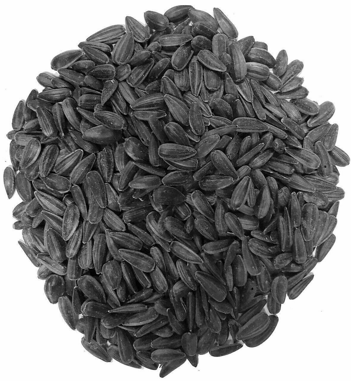Black OIL SUNFLOWER Seeds Chickens Parrots Wild Birds