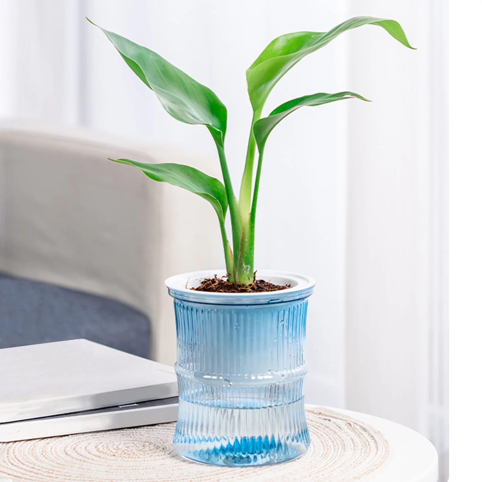 Back to School Savings! Feltree Self-absorbing Lazy Transparent Water Storage Mess Cultivation Small Potted Flower Pots, Indoor Living Room Desktop Water Storage Mess Cultivation Plastic Flowe
