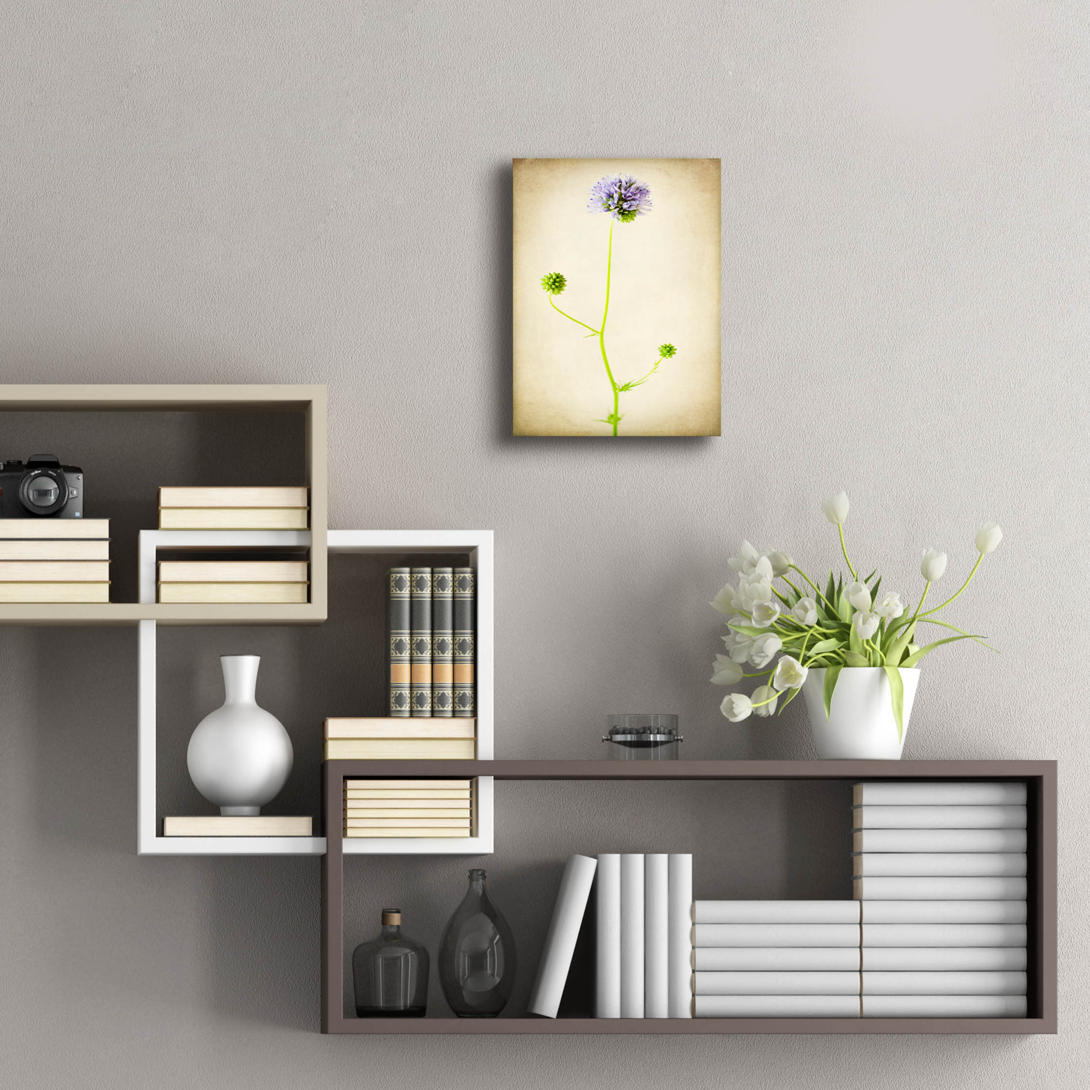 Epic Art 'Globe Gilia' by Jessica Rogers, Acrylic Glass Wall Art, 12