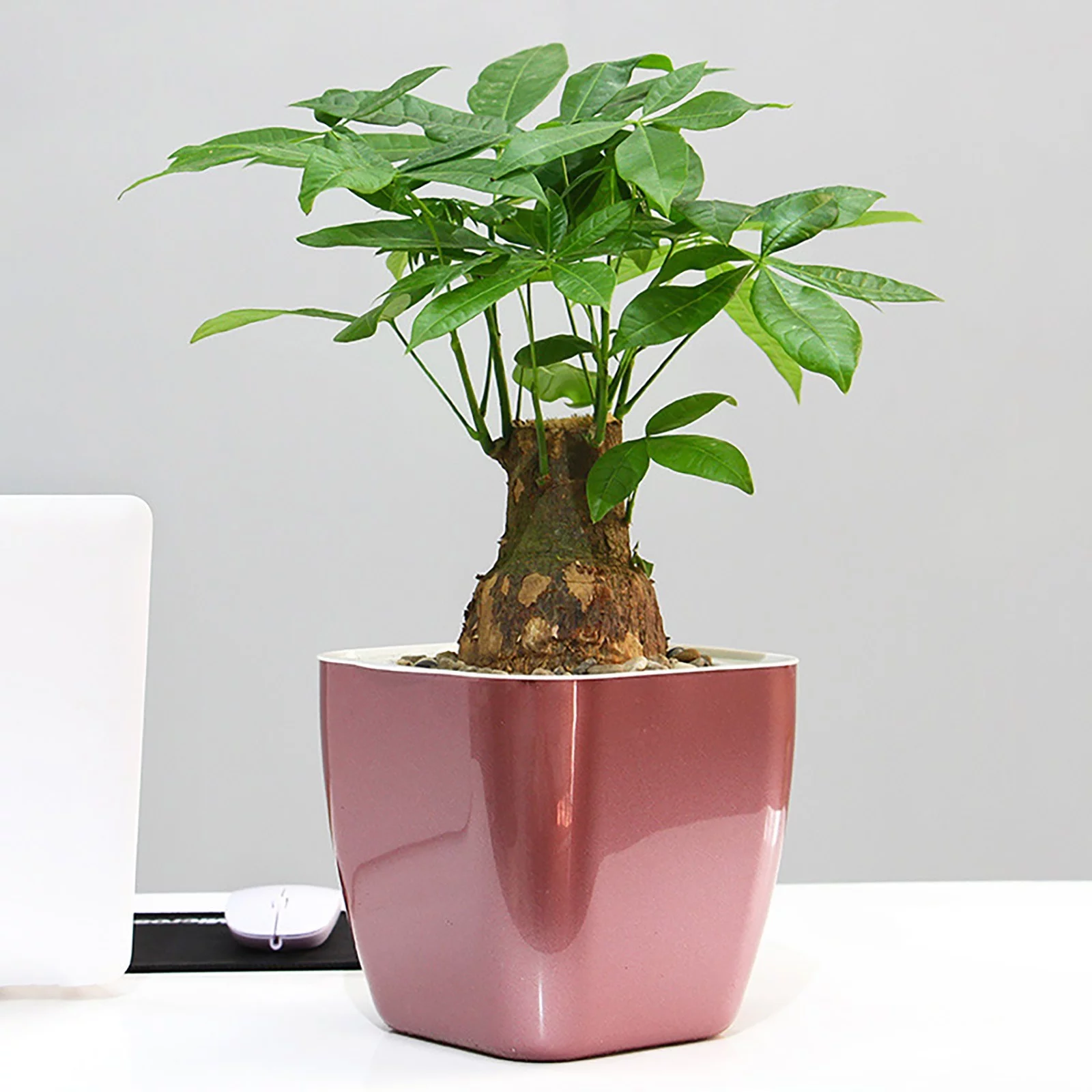 pdqouc Plastic Double Layer Thickened Self Watering Lazy Flowerpot Automatic Watering Flower Pot for Succulents Herb for All Small House Plants Practical Gardening Pots