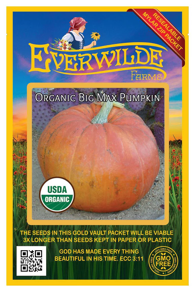 Everwilde Farms - 15 Organic Big Max Pumpkin Seeds - Gold Vault Jumbo Bulk Seed Packet