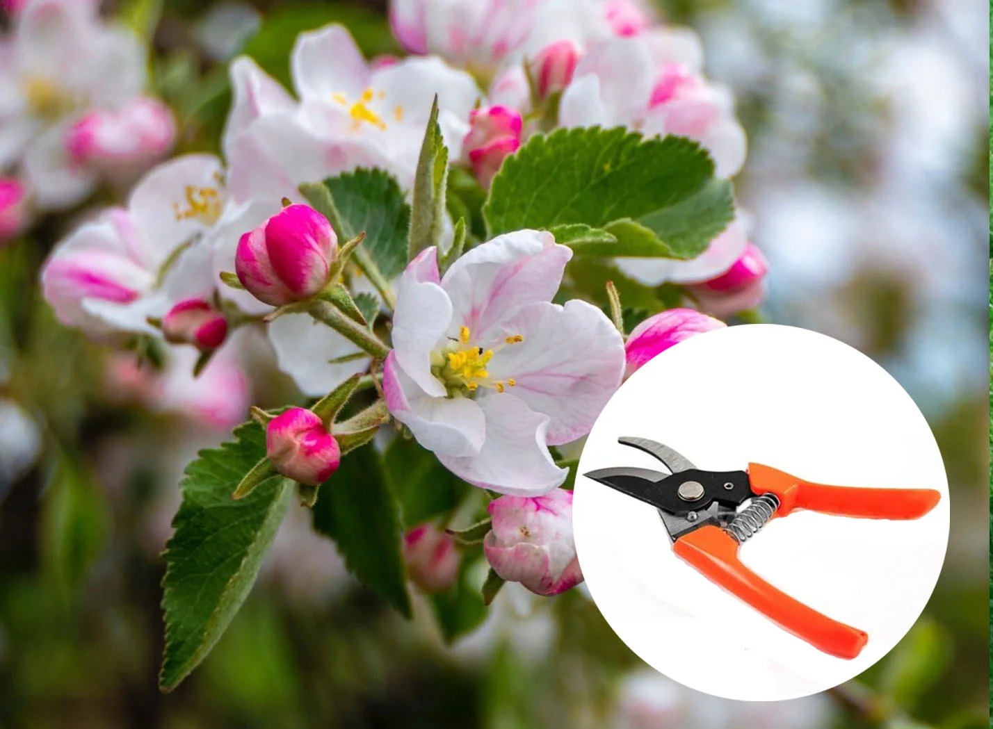 Howling at the Moon Shirt - Funny Yellow Labrador Retriever T-Shirt