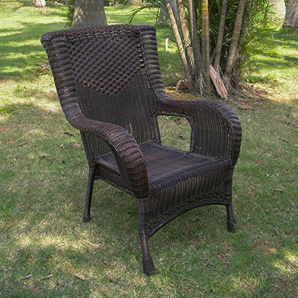 Resin Wicker/Aluminum Dining Chair - Antique Pecan
