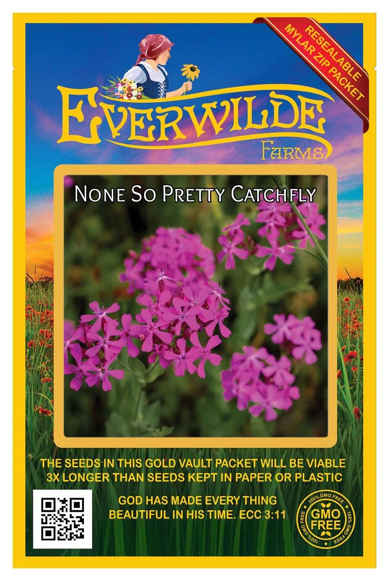 Everwilde Farms - 2000 None So Pretty Catchfly Garden Flower Seeds - Gold Vault Jumbo Bulk Seed Packet