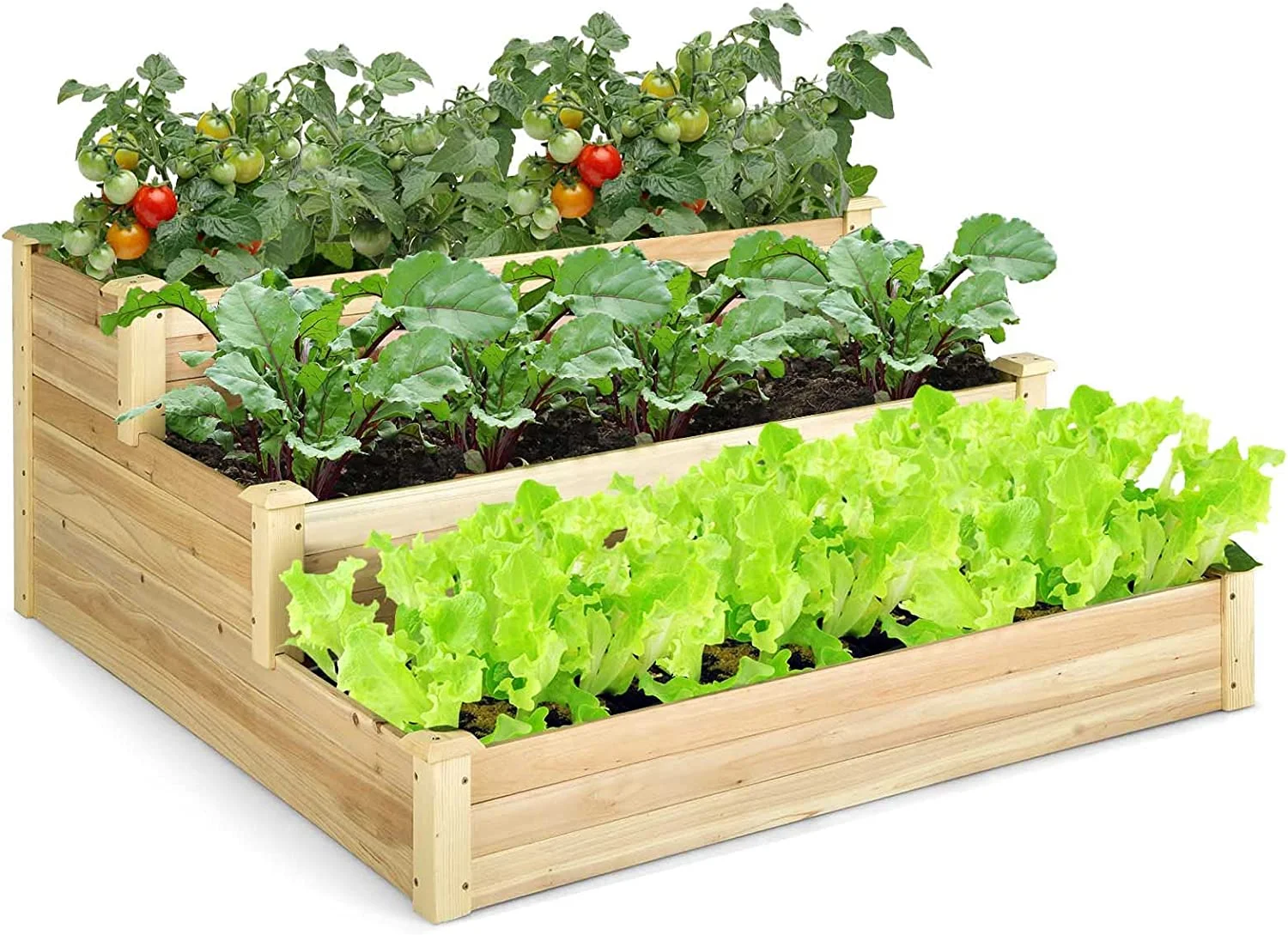 3 Tier Raised Garden Bed, Wood Planter Box 48 x 48 x 22 Inch Vegetable Flower Herb Fruit Growing Bed Kit, Outdoor Tiered Elevated Bottomless Planter for Garden, Yard, Lawn