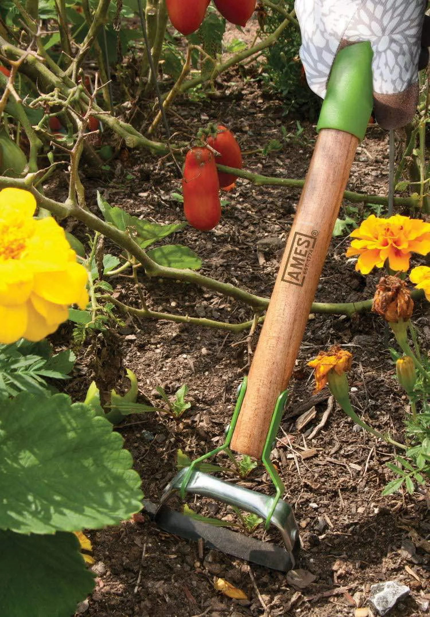 Ames Mini Steel Action Hoe 14 in. Wood Handle