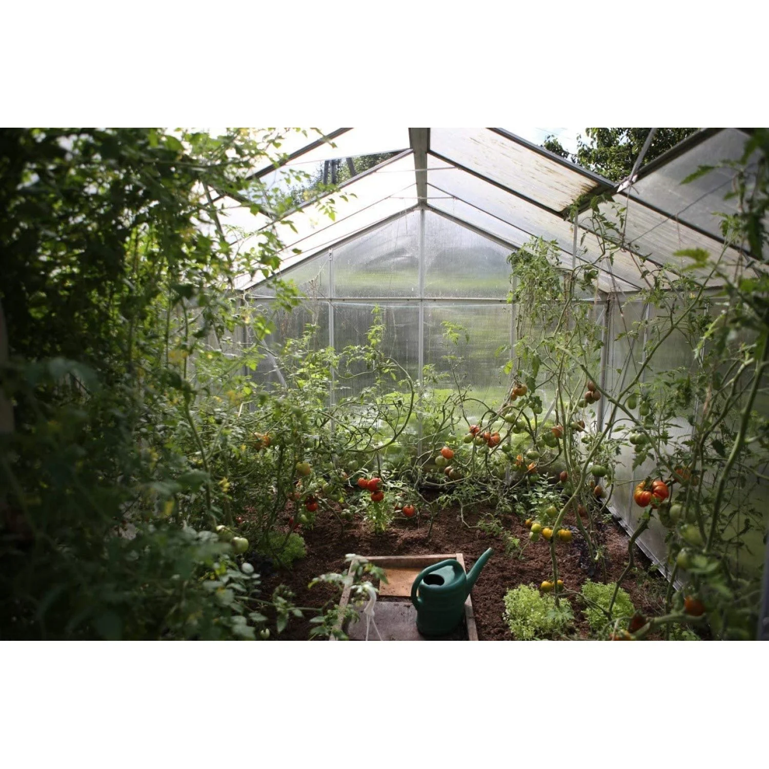 LPFEP 1554300 Long Handle Round Point Shovel