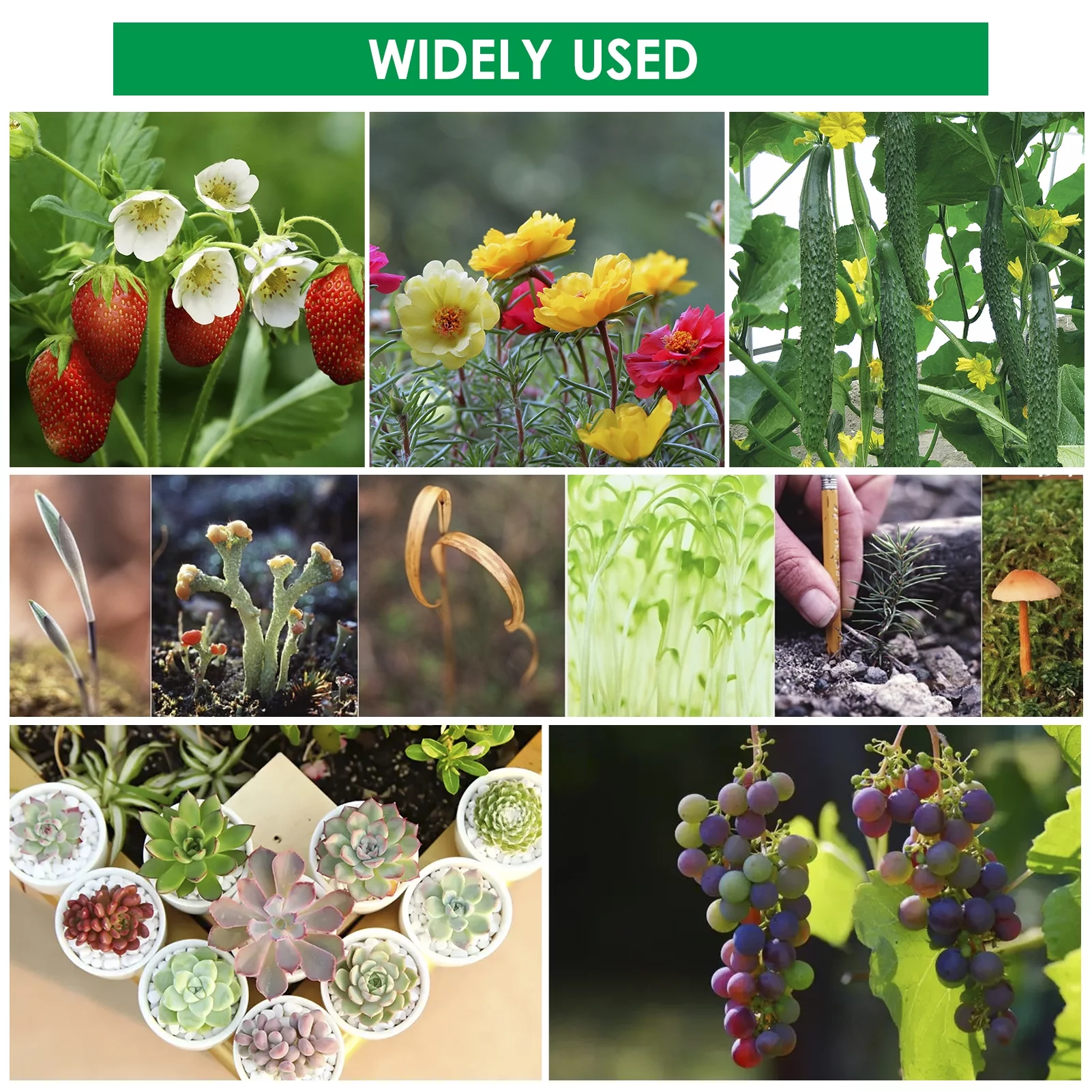 Handheld Soil Blocker 2-Inch Soil Block Maker Soil Blocking Tool with Dibbles Dibbers for Garden Cultivate seedlings and cultivate soil