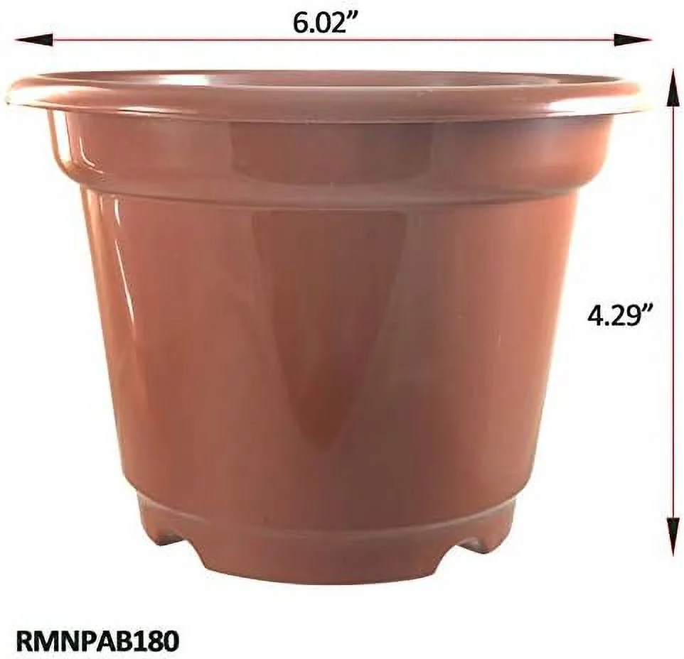 8 Sets / 0.5 Trade Gallon Diameter 6.02