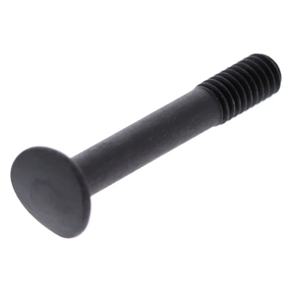 Black & Decker OEM 241947-02 Edger Screw  79654  EH1000  LE750  LE750  LE750  LE750  LE750  LE750