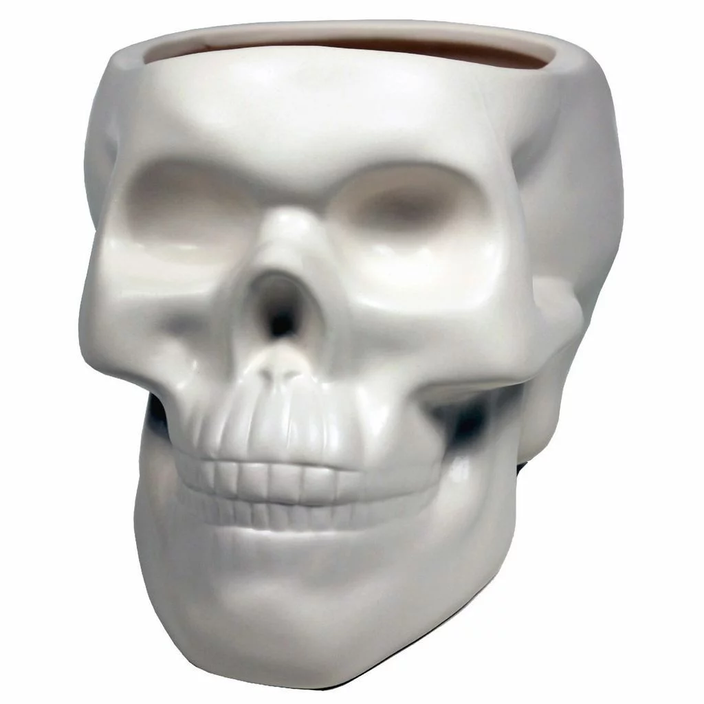 BONE SKULL PLANTER
