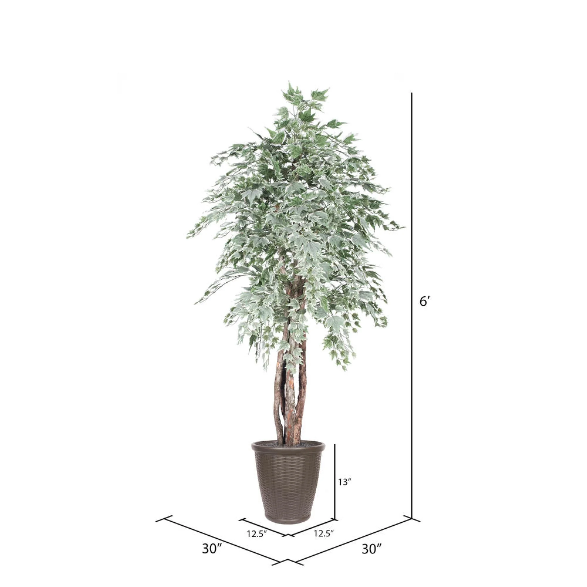 Vickerman  6 ft. Silver Maple Executive Round Brown Container Everyday Tree, Green