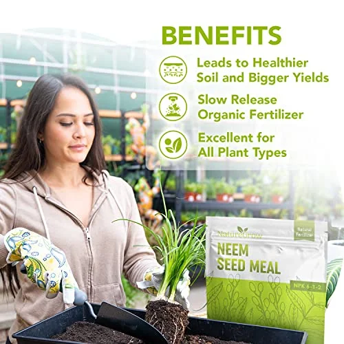 Neem Seed Meal - Organic Fertilizer for Healthy Plant Growth and Soil Health (6 Pounds)