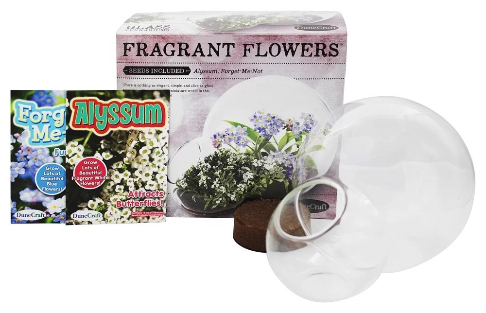 Double Bubble Glass Terrarium: Fragrant Flowers