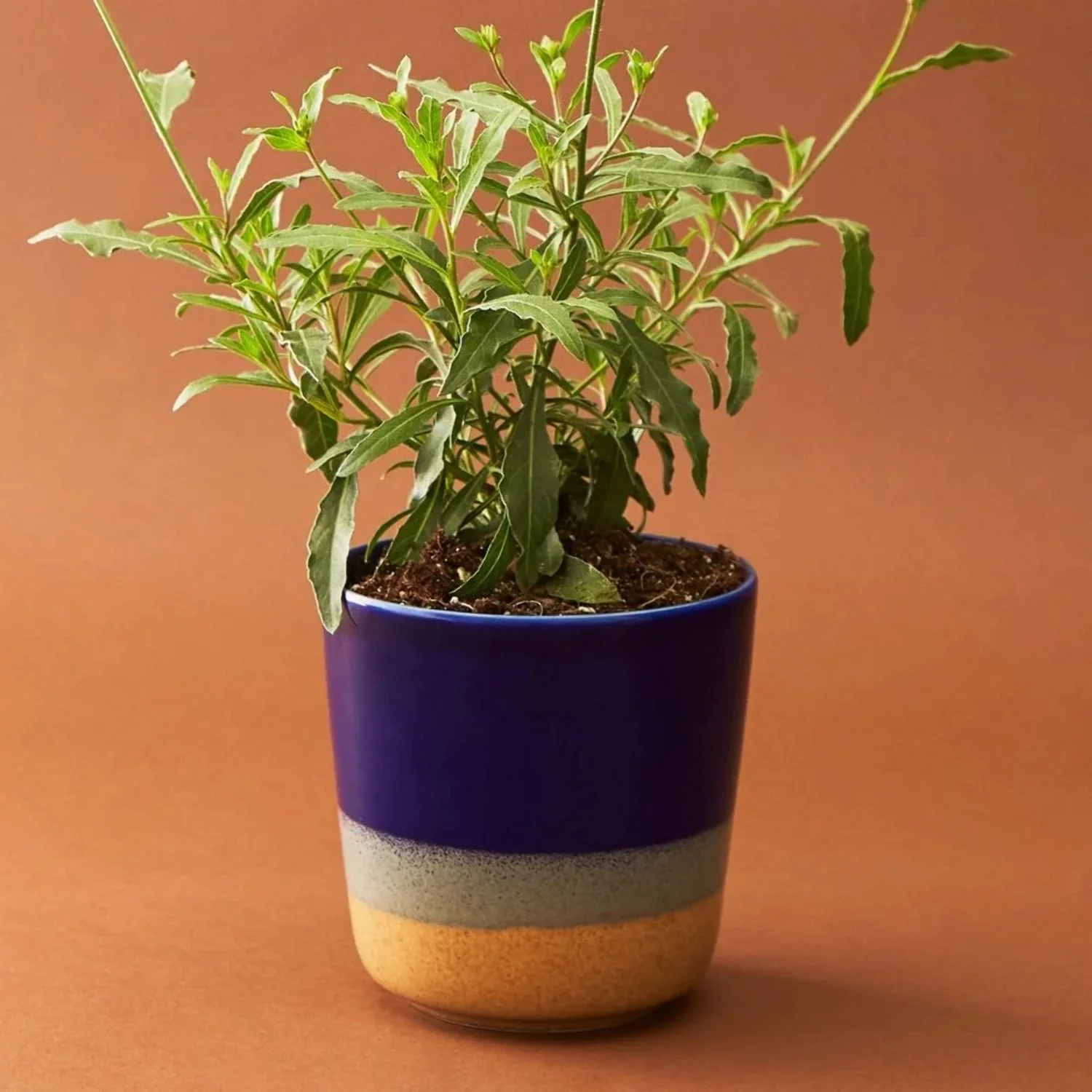 Small Ocean Ceramic Planter