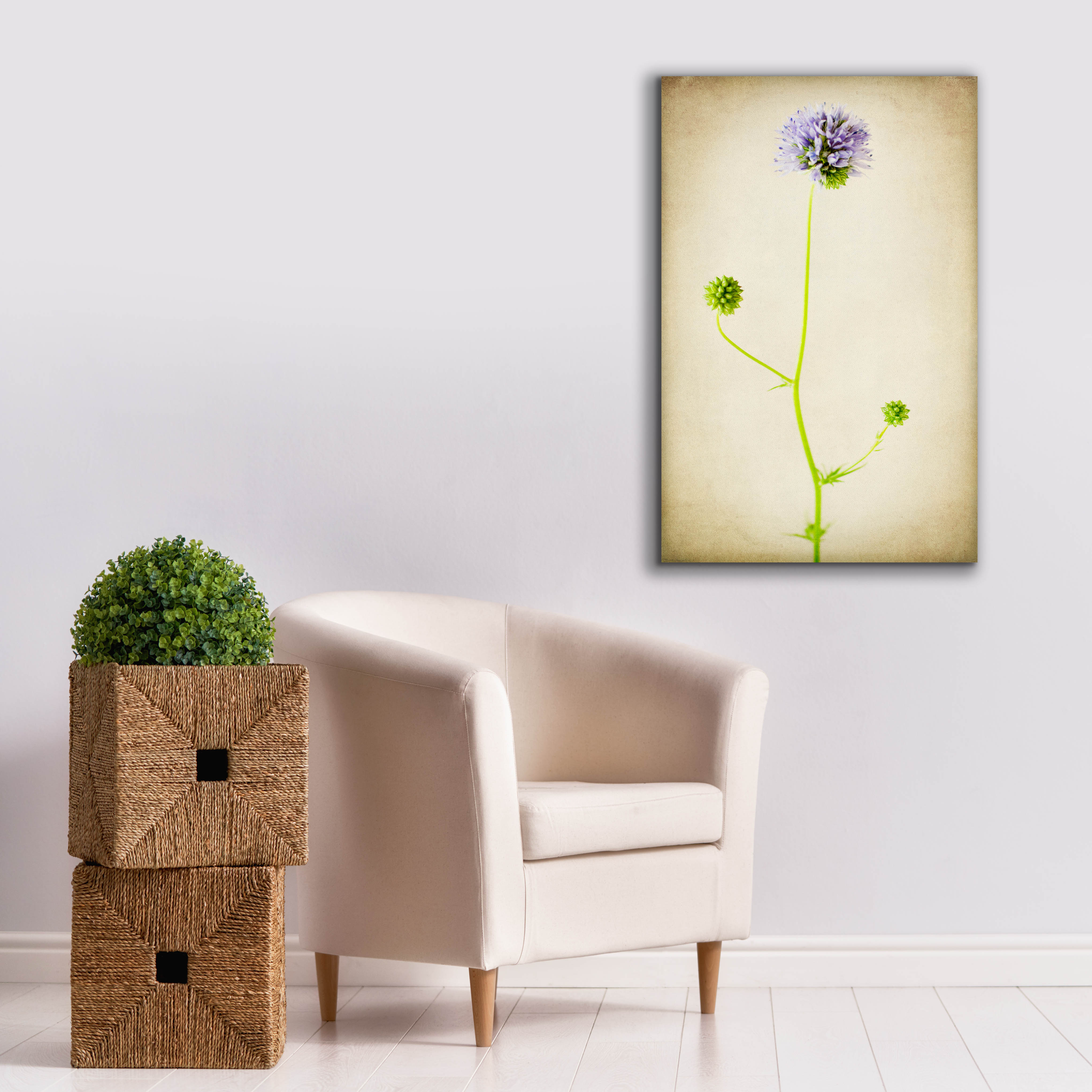 Epic Graffiti 'Globe Gilia' by Jessica Rogers, Canvas Wall Art, 26