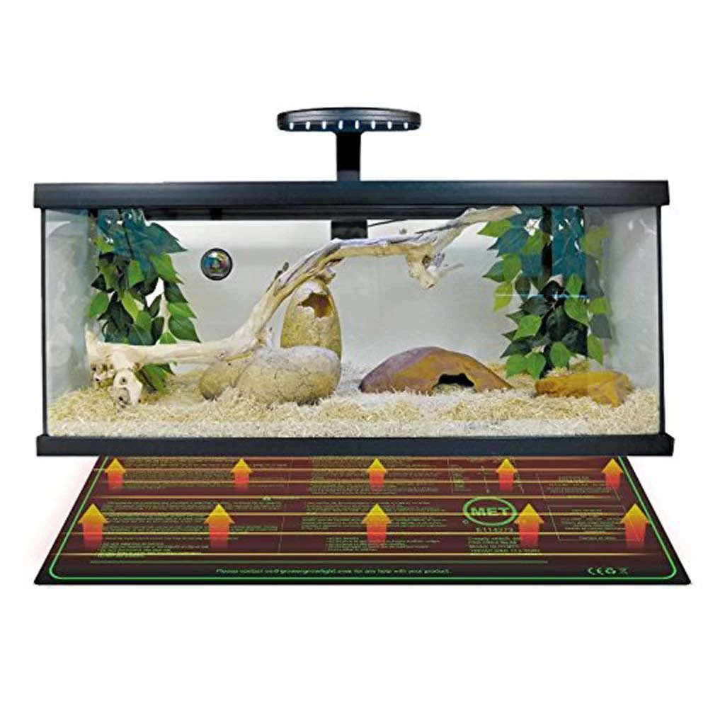 iPower 2 Pcs Warm Hydroponic Seedling Heat Mat and Digital Thermostat Control Combo Set, Black