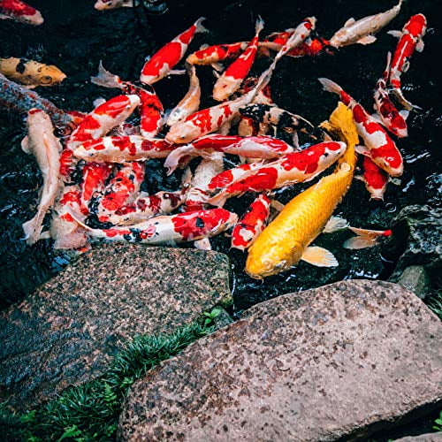 Koi Pond Filter Rigid Pad Media 12.5