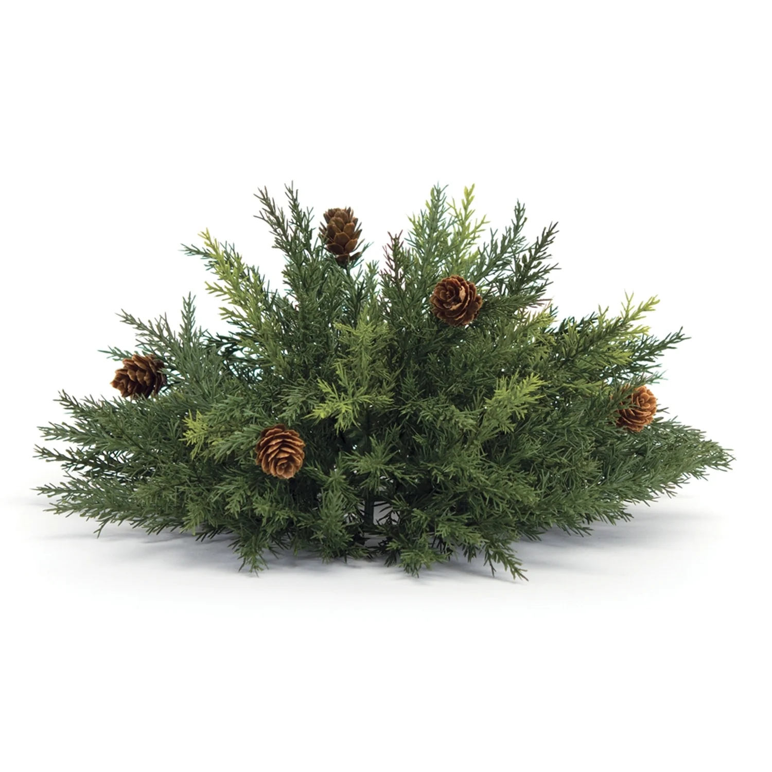 Maykoosh Arborvitae Half Orb 13