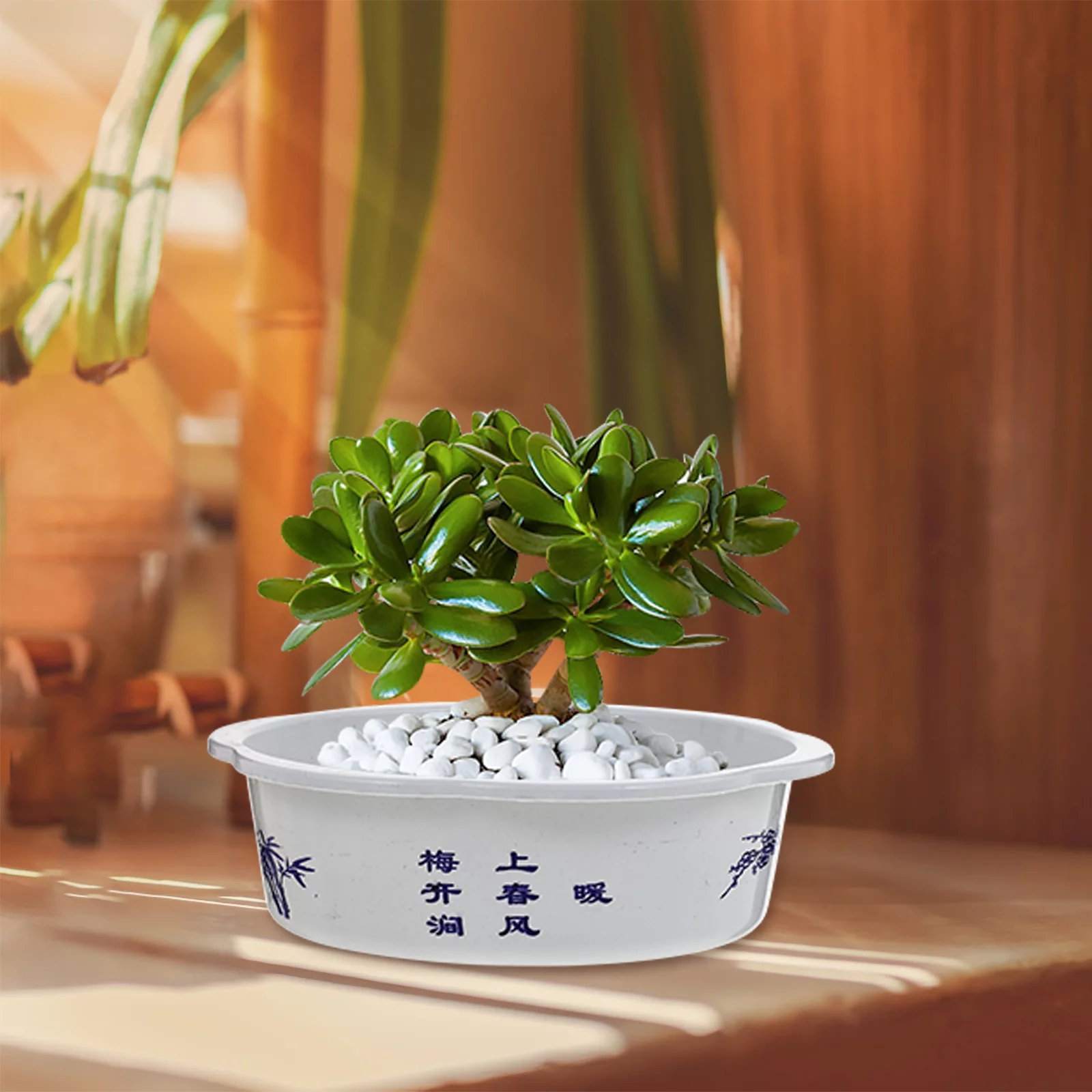 Gongxipen 10pcs Plastic Hydroponic Planting Basin Water Lily Narcissus Planting Bowls