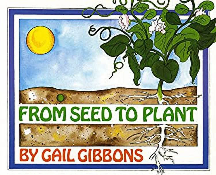 From Seed to Plant 9780823408726 Used / Pre-owned