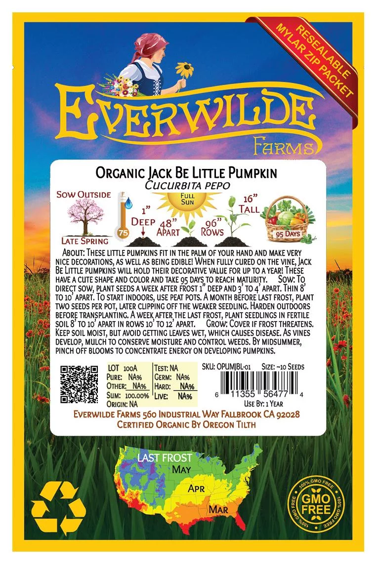 Everwilde Farms - 10 Organic Jack Be Little Pumpkin Seeds - Gold Vault Jumbo Bulk Seed Packet