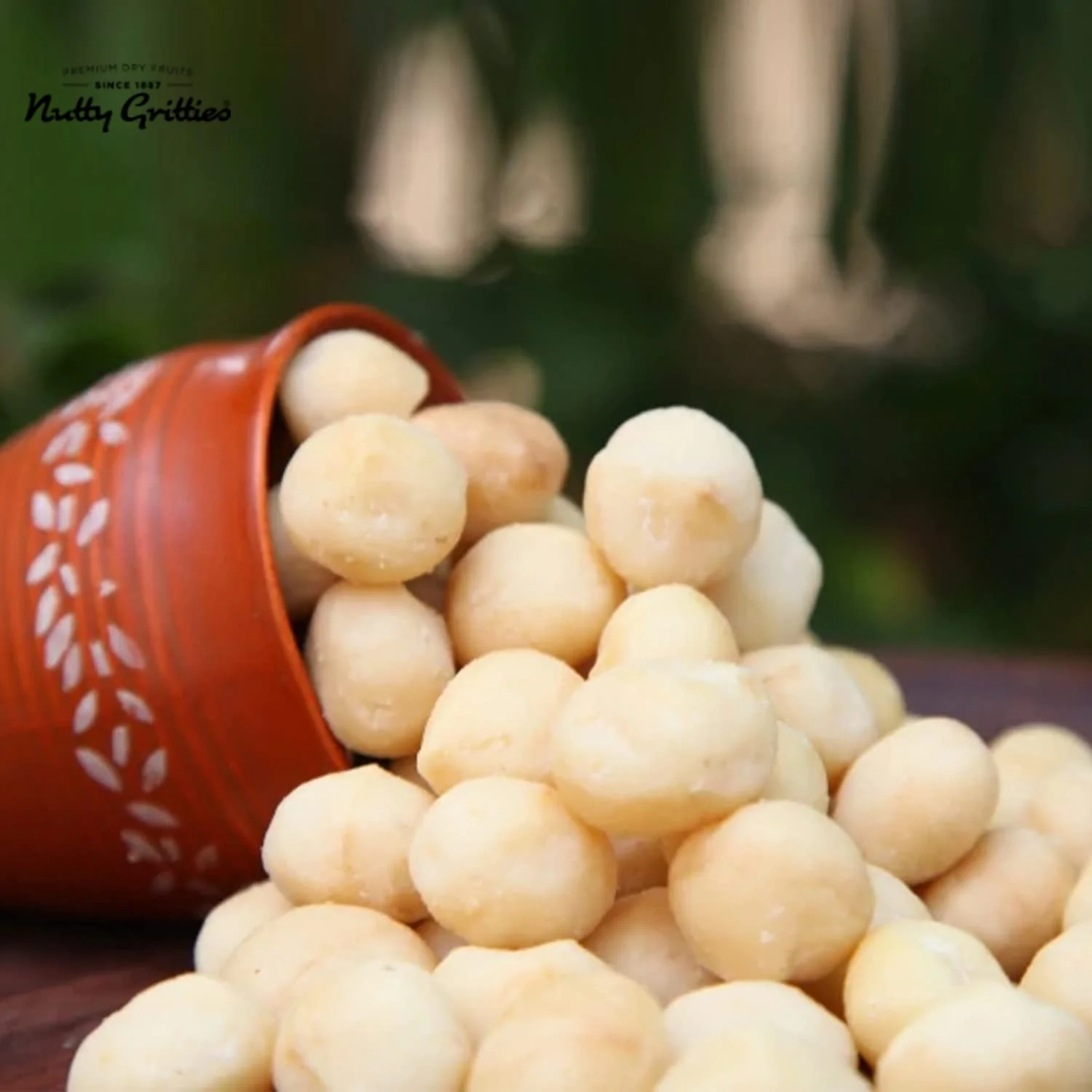 Nutty Gritties Premium Raw Macadamia Nuts 100G | Resealable Pouch