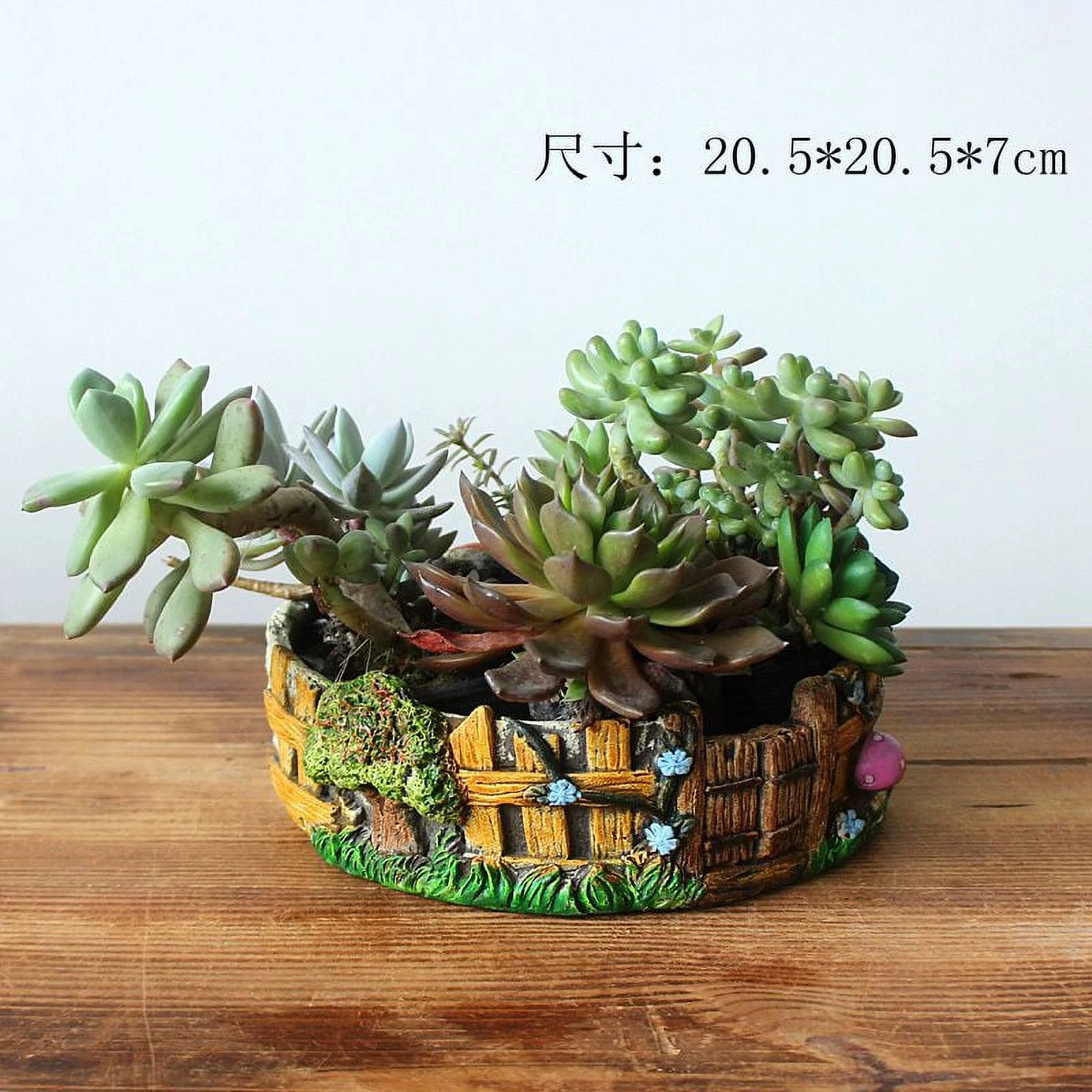 LivNxt Hand-painted Cement Succulent Planter - Eco-friendly Pot for Succulent Arrangements