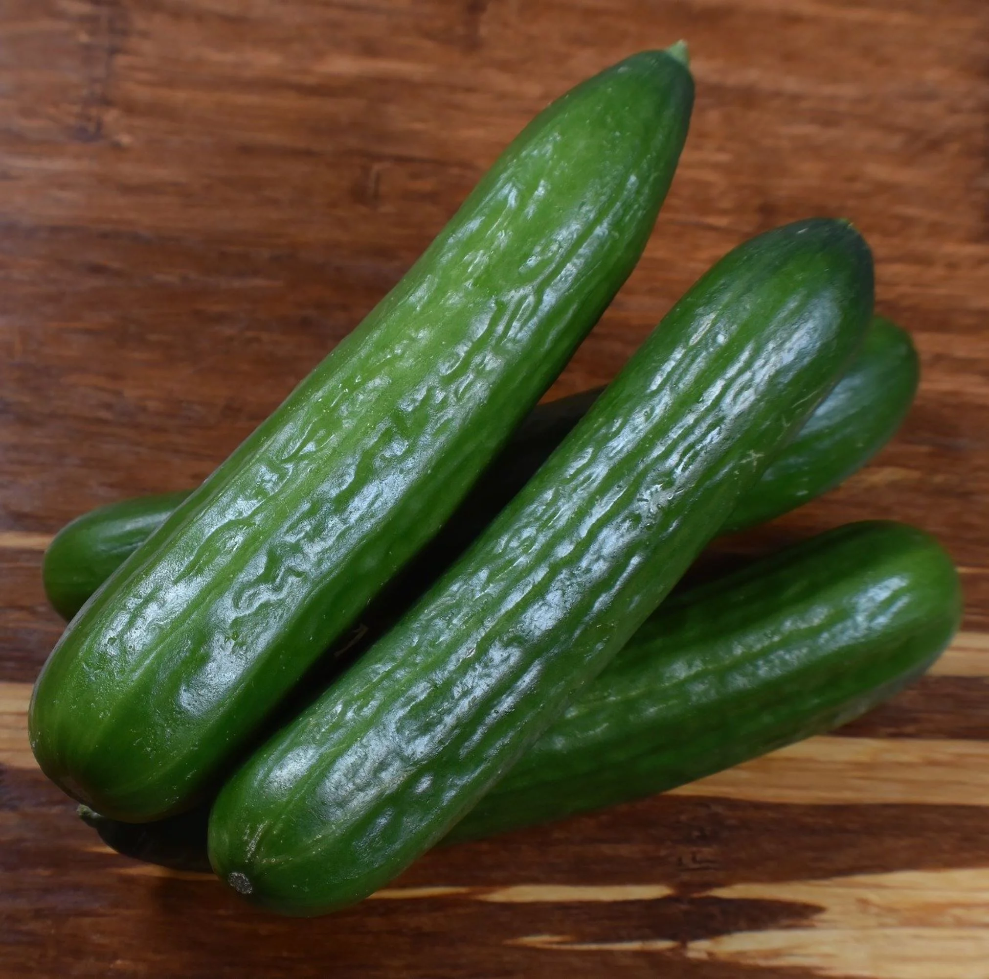 Straight 8 Cucumber Seeds/ Annual/ Full Sun/  3800 Seeds 1/4 LB/ Zellajake Farm and Garden - B32