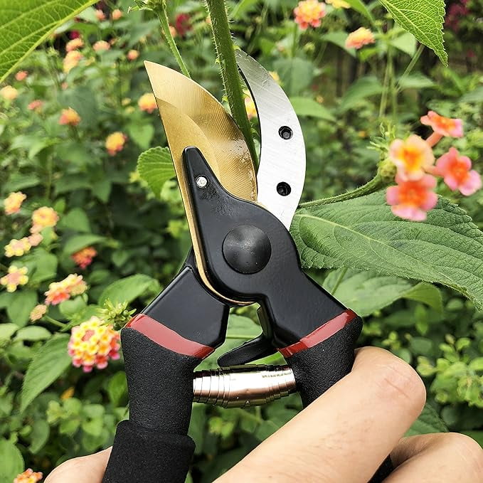 8 Inch (Approx. 20.3 cm) Professional Quality Titanium Bypass Pruning Shears Blade (GPPS-1003), Manual Pruner, Garden Shears.