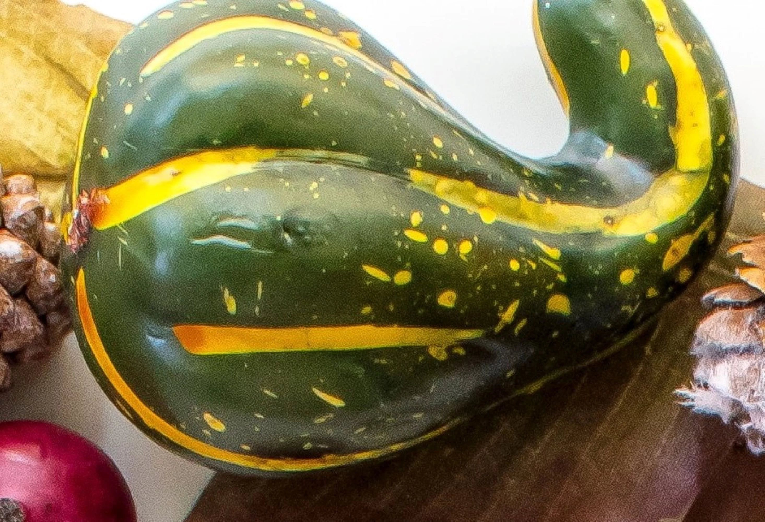 Dipper Gourd Seeds - Lagenaria siceraria - 480 seeds, 1/4 LB - B40